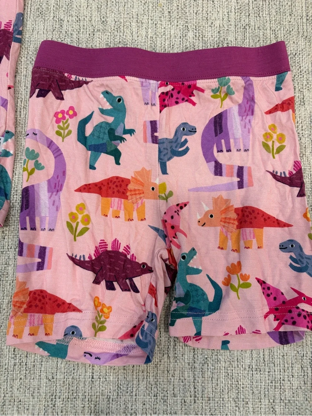 Little Sleepies Pink Dinosaur pajama Set with Purple & Teal Accents